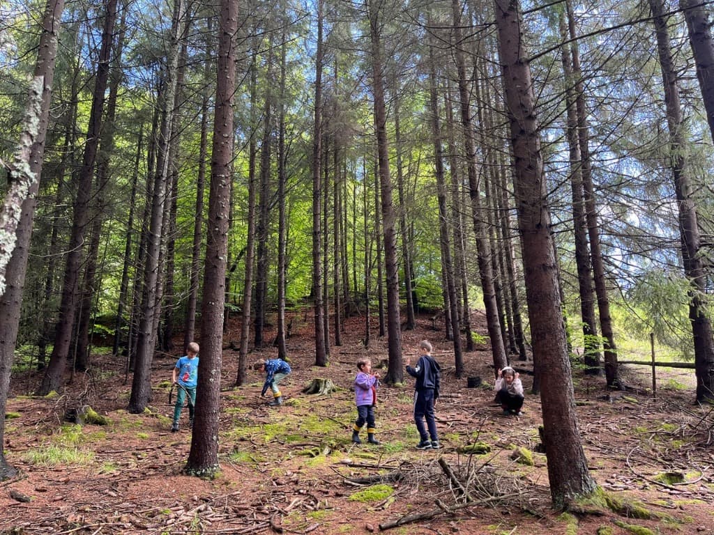 Kids playing in the forest on the Poteca Vindecătoare